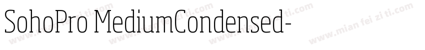 SohoPro MediumCondensed字体转换